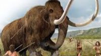 Oldest DNA recovered from the Teeth of Siberian mammoths
