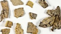 Dead Sea Scrolls