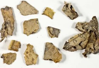 Dead Sea Scrolls
