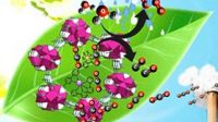 Artificial photosynthesis