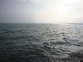 बरगी बांध, मध्य प्रदेश