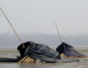 Shadow fishing