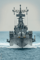 INS प्रलय