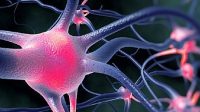 Spinal Muscular Atrophy