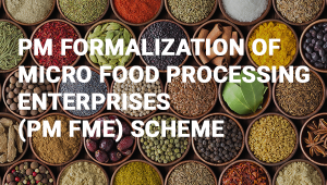 Prime Minister Formalisation of Micro Food Processing Enterprises (PM FME) योजना किस प्रदेश में शुरू की गई है?