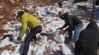 Snow harvesting