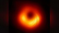 First Image of Black Hole Magnetic Field