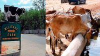 What are Military Farms? Why Indian Army has closed them?