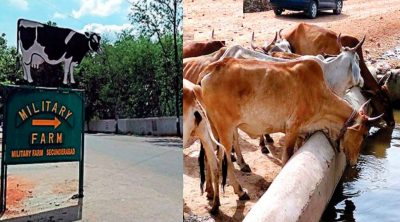 What are Military Farms? Why Indian Army has closed them?