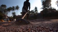 PLI Scheme for Food Processing Industry: Key Facts