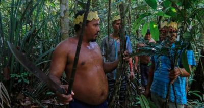 Forest Governance by Indigenous and Tribal Peoples: Key Findings