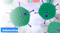 What is Adenovirus?