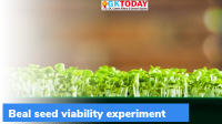 What is Beal seed viability experiment?