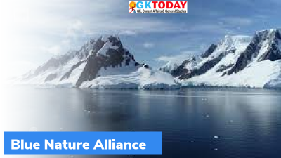 Blue Nature Alliance- Global Marine initiative