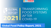 2021 Global food policy report