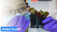 Robo Plant: Technology to interact with plants