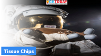 What are Tissue Chips?