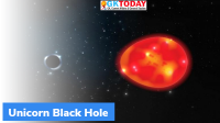 Unicorn Black Hole
