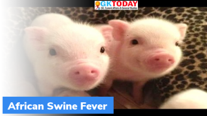 उत्तर-पूर्व में फैला अफ्रीकन स्वाइन फीवर (African Swine Fever), जानिये क्या है अफ्रीकन स्वाइन फीवर?
