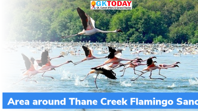 Area around Thane Creek Flamingo Sanctuary notified as ESZ