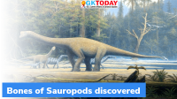Meghalaya: 100 million-year-old bones of Sauropods discovered