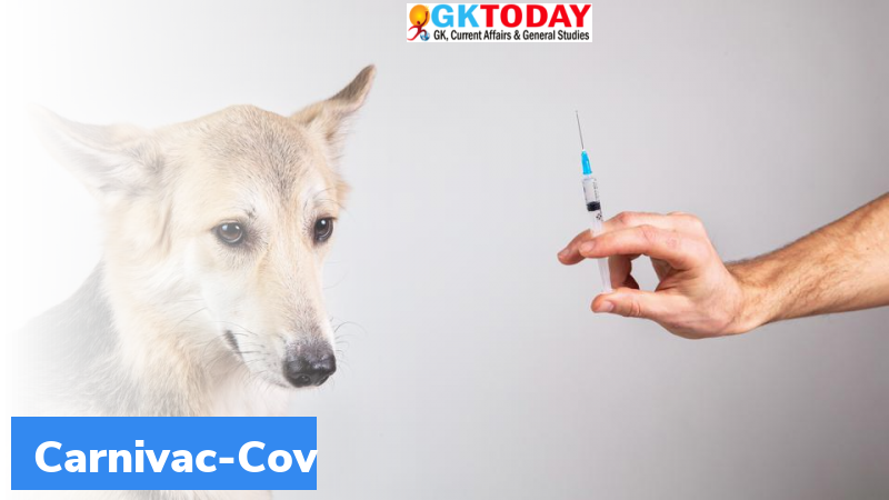 Russia produces COVID-19 vaccines for animals - GKToday