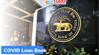 What is COVID Loan Book?