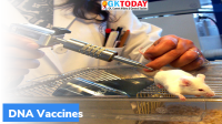 DNA Vaccines Effective in Hamsters