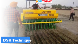 डीएसआर तकनीक (DSR Technique) क्या है?