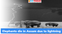 Assam Elephants Death-Report indicates Lighting