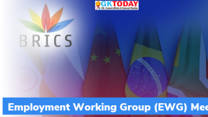 पहली ब्रिक्स रोजगार कार्य समूह (BRICS Employment Working Group) बैठक आयोजित की गयी