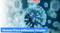 HPIV Human Para Influenza Viruses