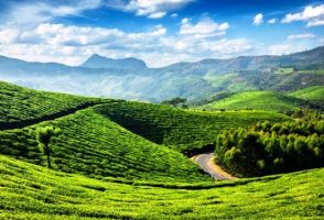 21 मई : अंतर्राष्ट्रीय चाय दिवस (International Tea Day)