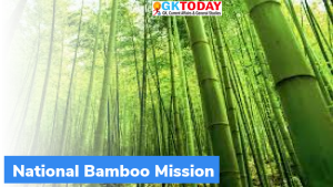 National Bamboo Mission: MIS मॉड्यूल लॉन्च किया गया