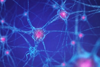 Progressive Supranuclear Palsy