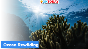 ओशन रिवाइल्डिंग (Ocean Rewilding) क्या है?