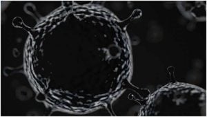 राजस्थान ने म्यूकोर्मायसिस (Mucormycosis) को महामारी घोषित किया
