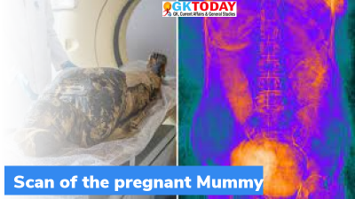 First-known pregnant mummy discovered by Researchers