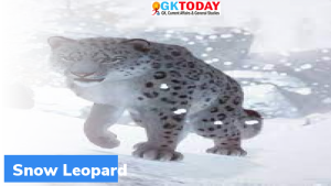 हिम तेंदुए के 70% से अधिक आवास अज्ञात हैं : WWF 