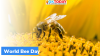 World Bee Day