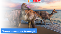 Yamatosaurus izanagii: New species of duck-billed dinosaur