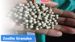 ऑक्सीजन उत्पादन में इस्तेमाल होने वाले जिओलाइट्स (Zeolites) क्या हैं?