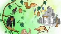 National Wildlife Health Policy
