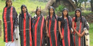 दक्षिण भारत की जनजातियाँ