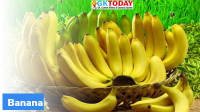 GI certified Jalgaon Banana exported to Dubai