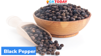 IISR gets Patent for Black Pepper Micronutrient