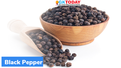 IISR gets Patent for Black Pepper Micronutrient
