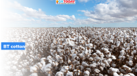 October 7: World Cotton Day 2021