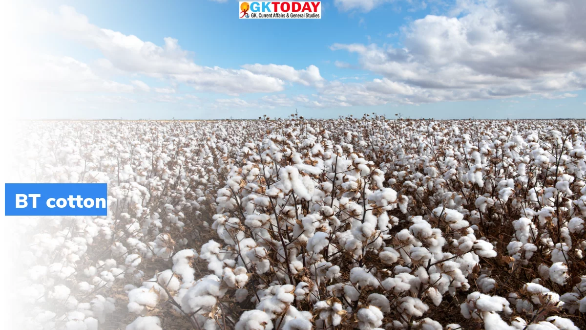Study Benefits in Punjab due to BT Cotton adoption GKToday