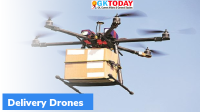 Flipkart to lead ‘Medicines from the Sky’ project